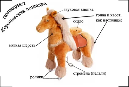 Що таке Поніцикли