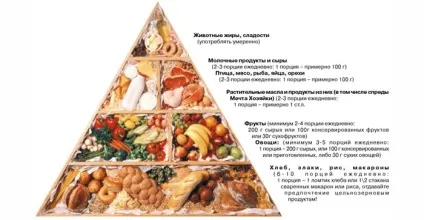 Дієта Маггі - меню на тиждень, відгуки про результати з фото до і після (яєчна) Дієта Маггі - меню на тиждень, відгуки про результати з фото до і після