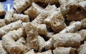 Екструдований корм - інновація на сільськогосподарському ринку, кормові технології України