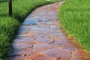 Доріжки на дачі з плитняка своїми руками як зробити довговічні стежки в саду (доріжки на дачі з плитняка своїми руками як зробити садові мостити) Доріжки на дачі з плитняка своїми руками як зробити довговічні стежки в саду