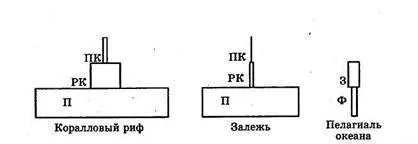екологічні піраміди