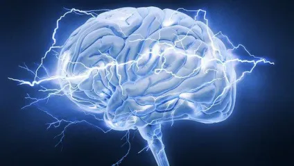 Електросон - що це таке електросон показання і протипоказання, відгуки (відгуки) Електросон - що це таке електросон показання і протипоказання, відгуки