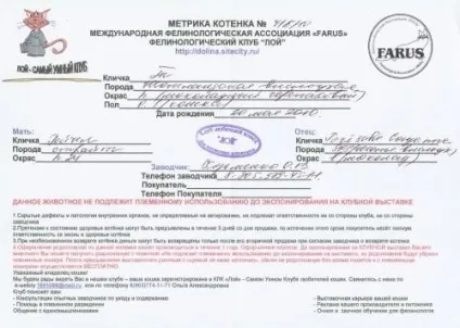 Документи на кошенят