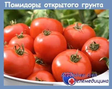 Чи є вітаміни в помідорах користь і шкода томатів (вітаміни) Чи є вітаміни в помідорах користь і шкода томатів