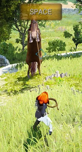 Гайд приручення коней в black desert (коней) Гайд приручення коней в black desert