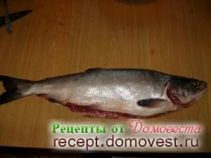 Фарширована горбуша - рецепти від домовеста (водою) Фарширована горбуша - рецепти від домовеста
