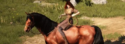 Гайд приручення коней в black desert (коней) Гайд приручення коней в black desert