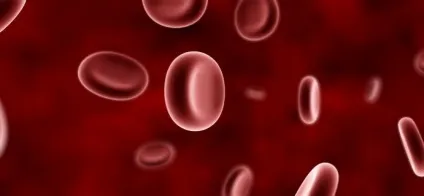 Формені елементи крові, meddoc