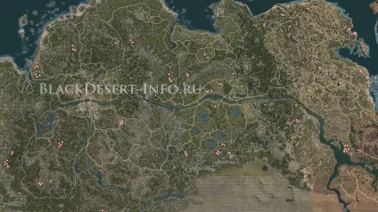 Гайд приручення коней в black desert (гайд) Гайд приручення коней в black desert
