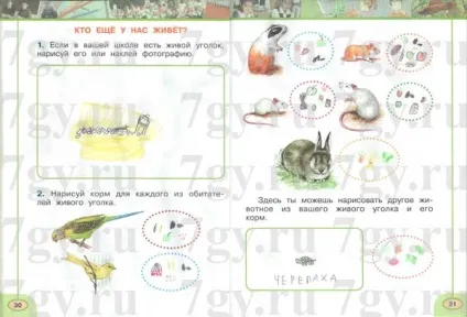 Гдз - навколишній світ 1 клас