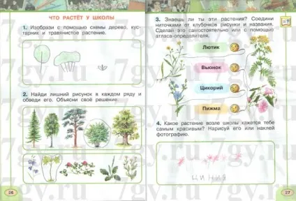 Гдз - навколишній світ 1 клас