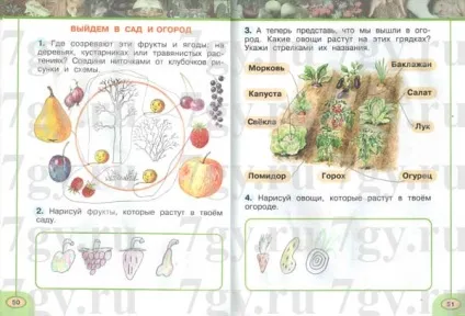 Гдз - навколишній світ 1 клас