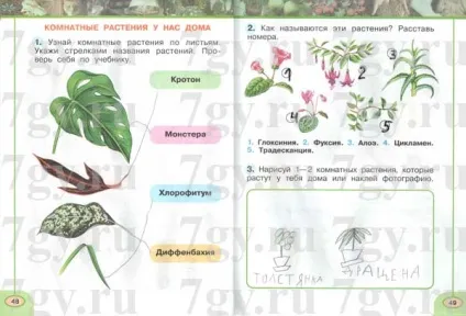 Гдз - навколишній світ 1 клас