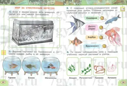 Гдз - навколишній світ 1 клас