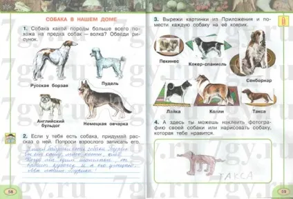 Гдз - навколишній світ 1 клас