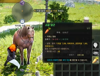 Гайд приручення коней в black desert (коней) Гайд приручення коней в black desert
