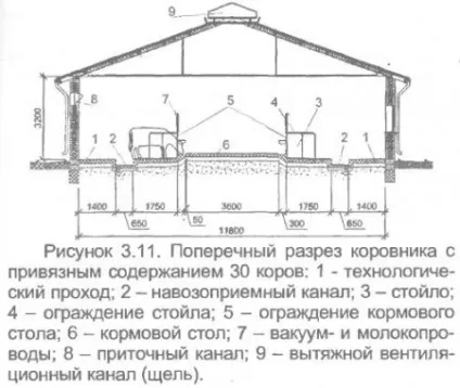 Ферма прив'язного утримання 30 корів - все про тваринництво (прийому) Ферма прив'язного утримання 30 корів - все про тваринництво