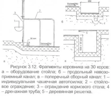 Ферма прив'язного утримання 30 корів - все про тваринництво (канали) Ферма прив'язного утримання 30 корів - все про тваринництво
