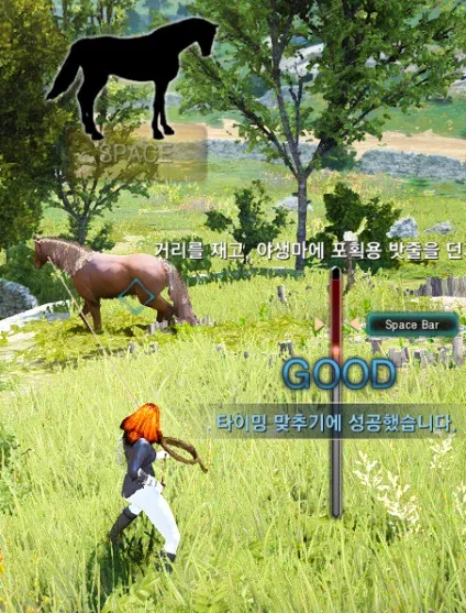 Гайд приручення коней в black desert (гайд) Гайд приручення коней в black desert
