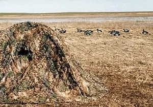гусяча полювання