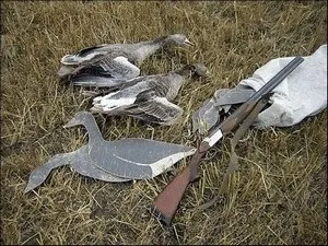 гусяча полювання