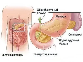 Гіпотонія жовчного міхура - як проводиться лікування (гіпотонія жовчного міхура) Гіпотонія жовчного міхура - як проводиться лікування