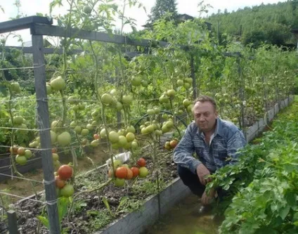 Грядки своїми руками які вони бувають і як зробити їх правильно (правильно) Грядки своїми руками які вони бувають і як зробити їх правильно