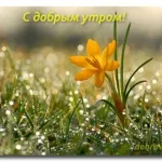 Зцілення любов'ю, особистий блог Зої Єршова (зцілення любов'ю) Зцілення любов'ю, особистий блог Зої Єршова