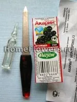 Позбавляємося від шкідників - кімнатні квіти і рослини на