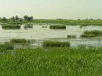 Яка риба водиться