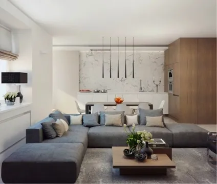 Інтер'єр в стилі контемпорарі розкішна простота (John Maniscalco Architecture) Інтер'єр в стилі контемпорарі розкішна простота
