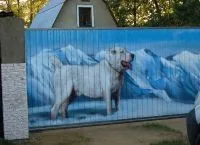 Як красиво пофарбувати паркан (красиво) Як красиво пофарбувати паркан