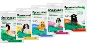 Як і чим вивести бліх у собаки ефективні методи позбавлення (бліх) Як і чим вивести бліх у собаки ефективні методи позбавлення