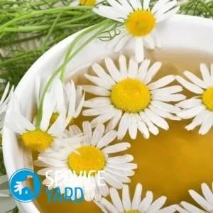 Як робити ванночки з ромашкою, serviceyard-затишок вашого будинку в ваших руках (ванночки) Як робити ванночки з ромашкою, serviceyard-затишок вашого будинку в ваших руках