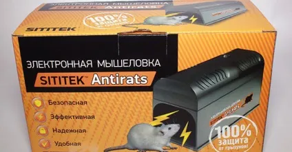 Як позбутися мишей в квартирі назавжди (мишей) Як позбутися мишей в квартирі назавжди
