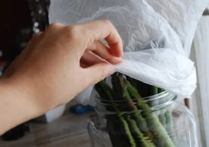 Як довше зберігати продукти