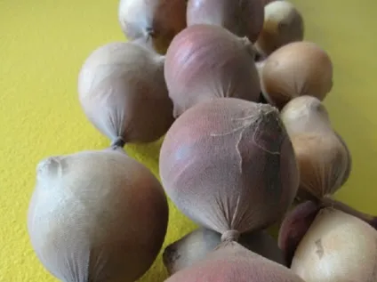 Як довше зберігати продукти