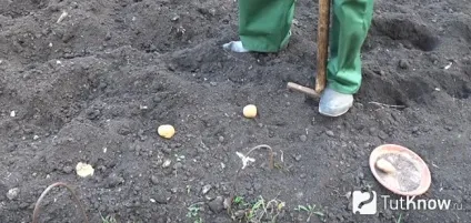 Як полегшити роботу на городі і на дачі (на дачі) Як полегшити роботу на городі і на дачі