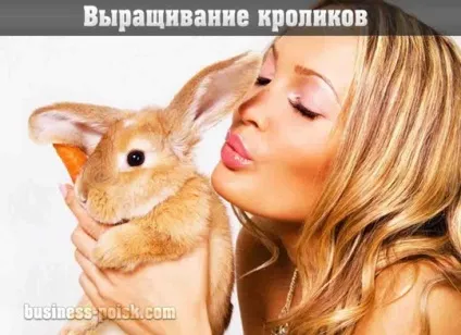Як почати будівельний бізнес з нуля (будівельний бізнес нуля) Як почати будівельний бізнес з нуля