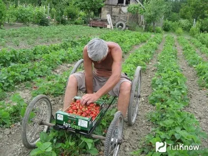 Як полегшити роботу на городі і на дачі (дачі) Як полегшити роботу на городі і на дачі