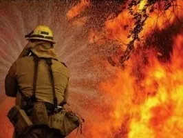 Як отримати професію, про яку мріяв з дитинства (професію) Як отримати професію, про яку мріяв з дитинства