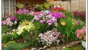 Як користуватися теркою дізнайтеся про те, як не травмувати себе під час приготування їжі (користуватися) Як користуватися теркою дізнайтеся про те, як не травмувати себе під час приготування їжі