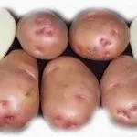 Як проростити картоплю для посадки, дача (обробити картоплю перед) Як проростити картоплю для посадки, дача
