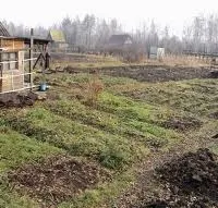 Як правильно варити борщ (деякі види борщів) Як правильно варити борщ