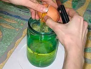 Як приготувати майонез своїми руками (майонез своїми руками) Як приготувати майонез своїми руками