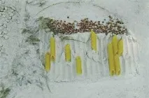 Техніка - Терра - Різне (творчість) - ТВОРЧІСТЬ РУК - Каталог статей - ЛІНІЇ ЖИТТЯ творчість