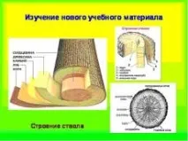 технологія