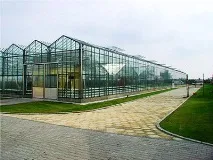 Теплиця з віконних рам відео-інструкція з монтажу своїми руками, особливості будівництва без своїми