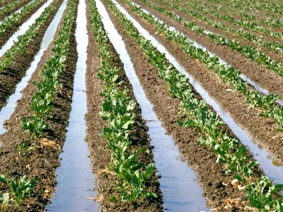 Як зробити літній водопровід на дачі своїми руками - схема і пристрій (річний водопровід своїми руками дача) Як зробити літній водопровід на дачі своїми руками - схема і пристрій