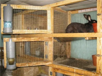 Як зробити клітини для кроликів своїми руками покрокова інструкція з кресленнями, розмірами, фото і (розмірами) Як зробити клітини для кроликів своїми руками покрокова інструкція з кресленнями, розмірами, фото і